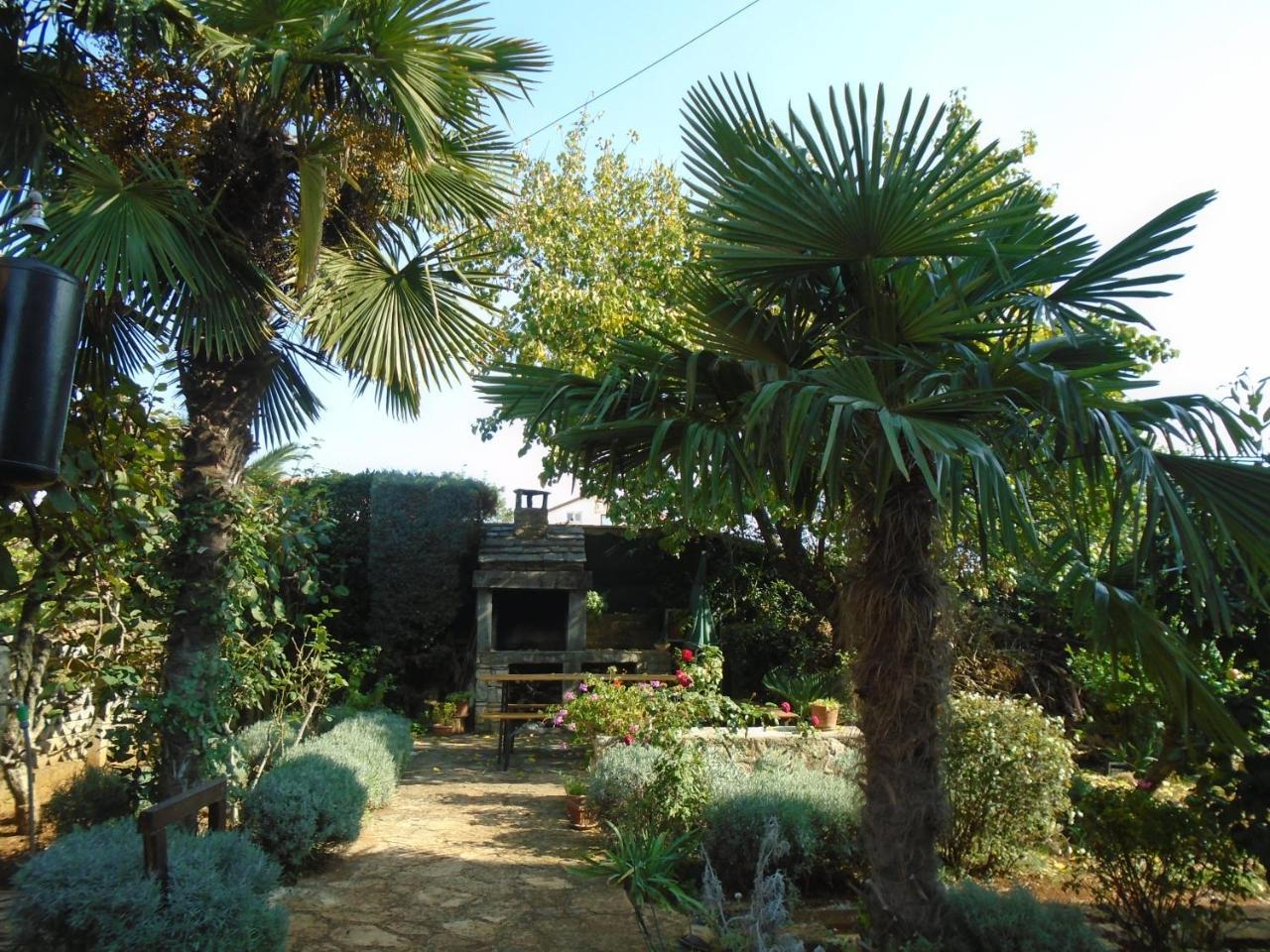 Villa Maria Novigrad Istria 외부 사진