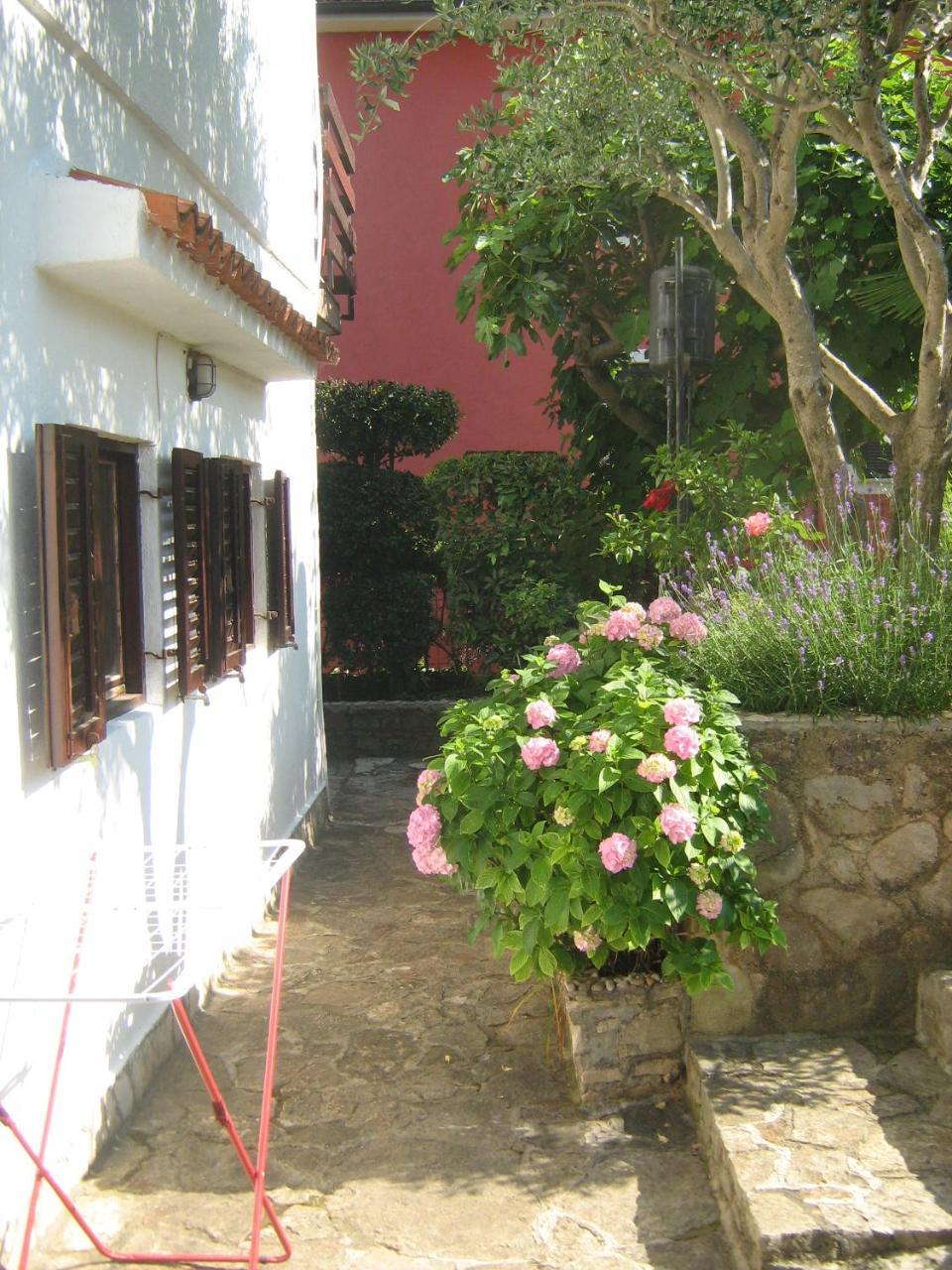 Villa Maria Novigrad Istria 외부 사진