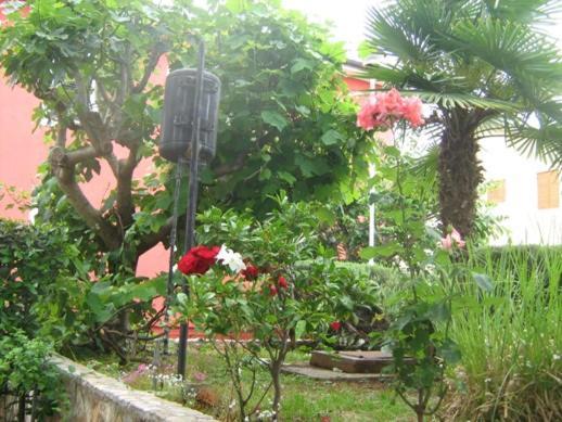 Villa Maria Novigrad Istria 외부 사진