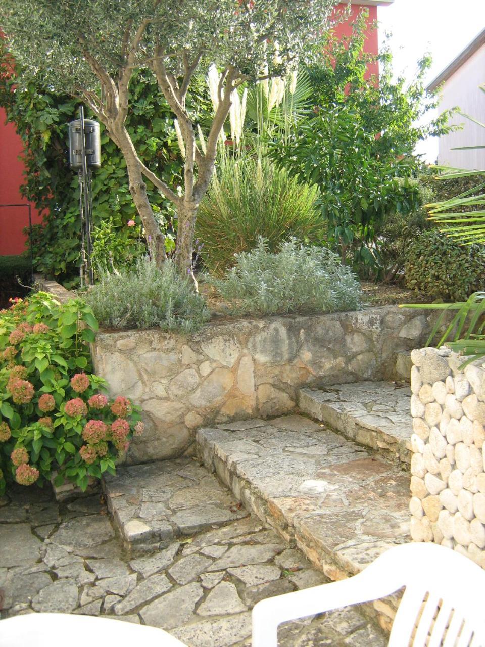 Villa Maria Novigrad Istria 외부 사진